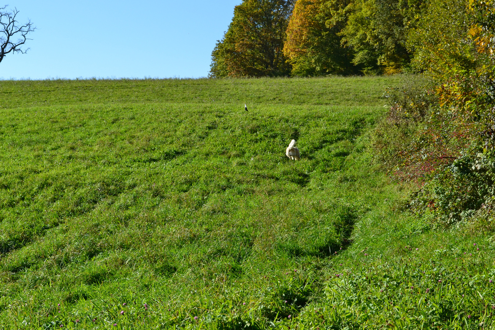 Seminar Jörg 19.10 005